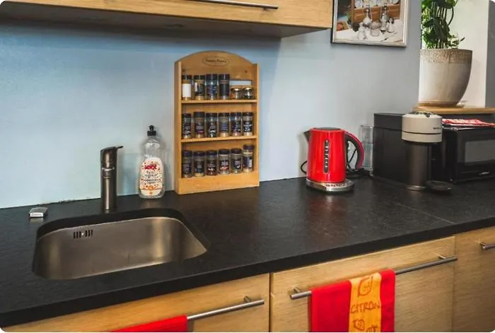 民宿 Classical On Alberta St Free Locked Parkings 里加