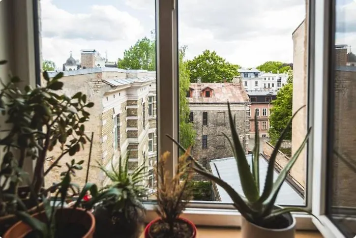 民宿 Classical On Alberta St Free Locked Parkings *